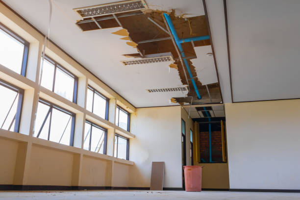 Best Sewage cleanup and water damage restoration  in Keary, NE