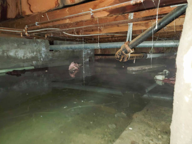 Water damage restoration mold remediation in Kearney, NE