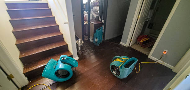 Best Flood restoration services  in Keary, NE