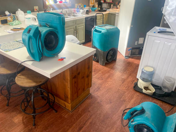 Reliable Kearney, NE Water damage restoration Solutions