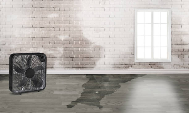 Best 24-hour water damage restoration  in Keary, NE
