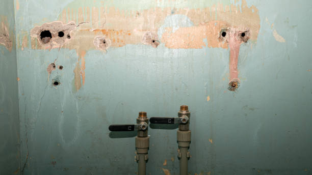 Best Water damage restoration near me  in Keary, NE