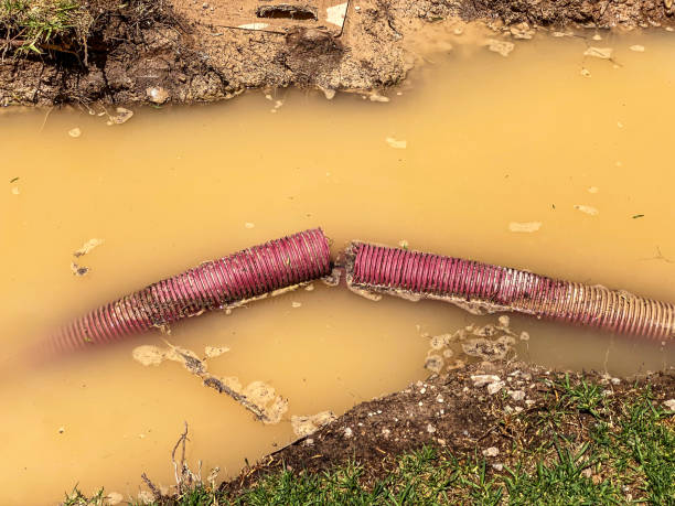 Best Basement water damage restoration  in Keary, NE
